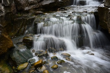 ZEN_2702