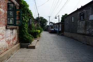 ZEN_3736