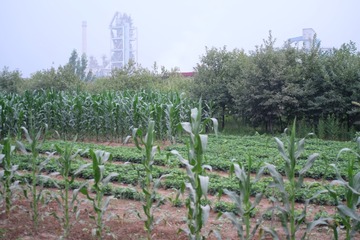 DSCF5065