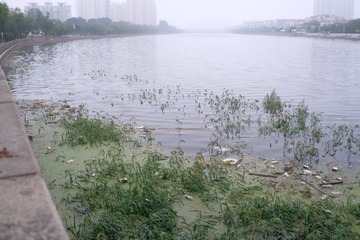 DSCF5266