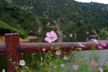 DSCF9700
