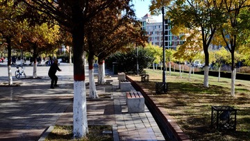 201811 (6)