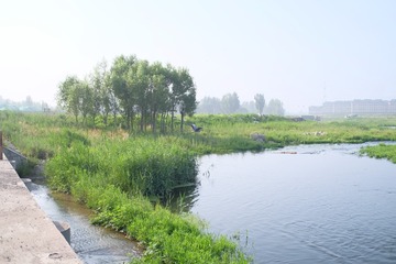 DSCF5178