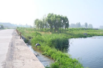 DSCF5175