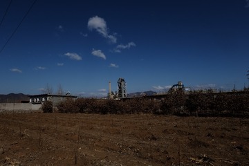DSCF4806