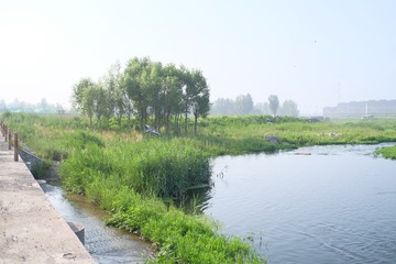 DSCF5177