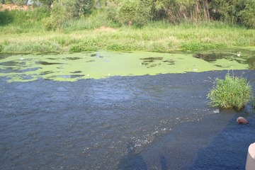 DSCF5174
