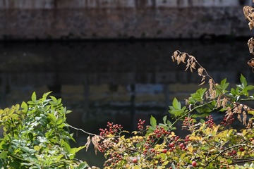 201810 (5)