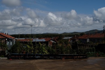 DSCF9833