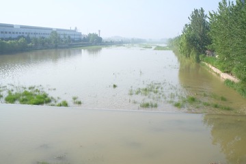 DSCF5190