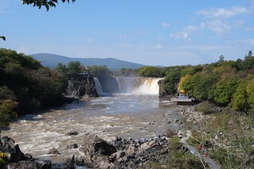 DSCF9902