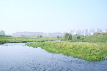 DSCF5184
