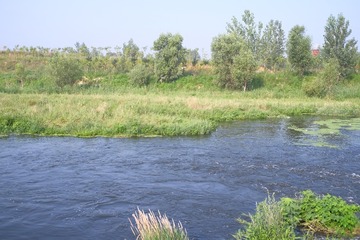 DSCF5186