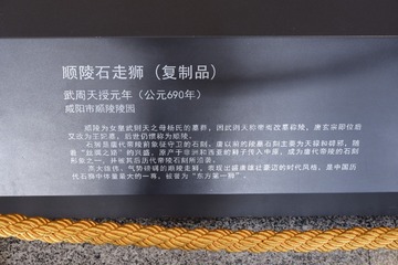 DSCF6991