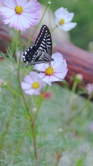 IMG_20220330_162011