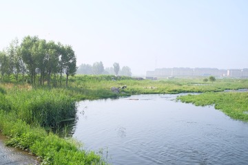 DSCF5179