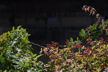 201810 (6)