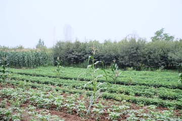 DSCF5301