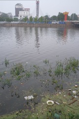 DSCF5267