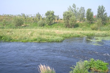 DSCF5187