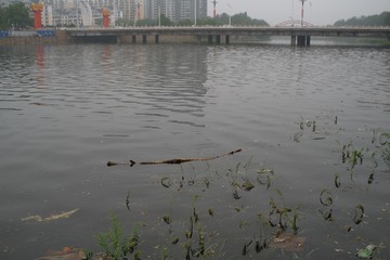 DSCF5273