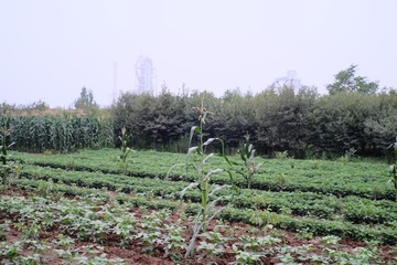 DSCF5302