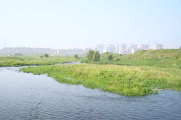 DSCF5185