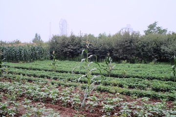 DSCF5304