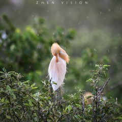 ZHQ_3420-32