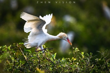 ZHQ_3580-16