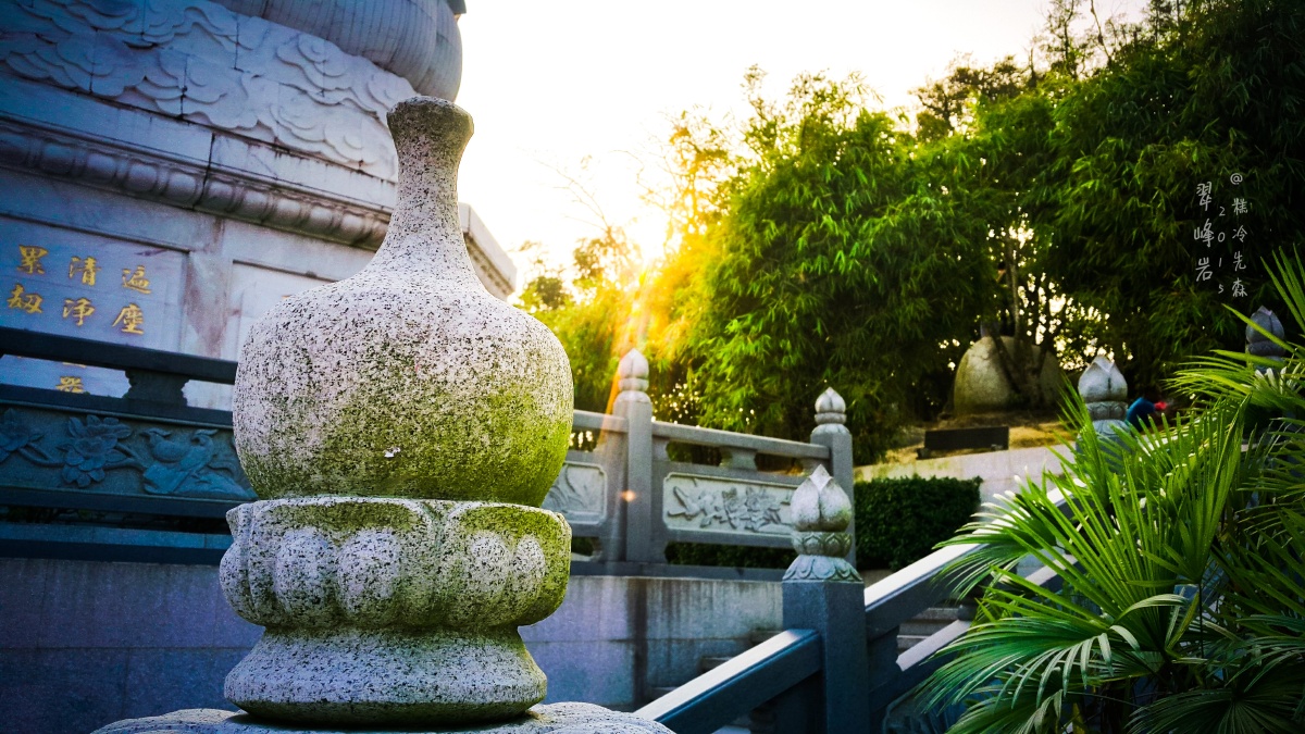 手机镜头下的风景