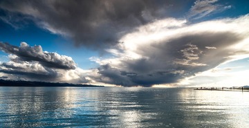 _DSC1219