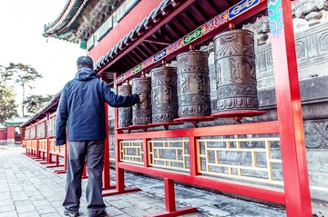 DSC_1501_2_3_自然