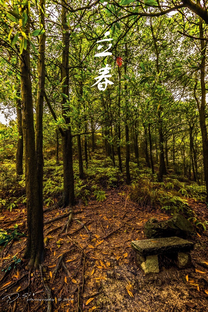 春天的开始