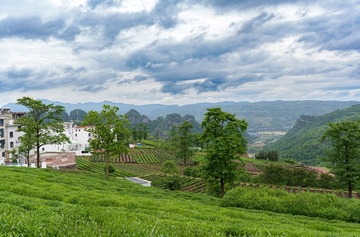 RAW05844