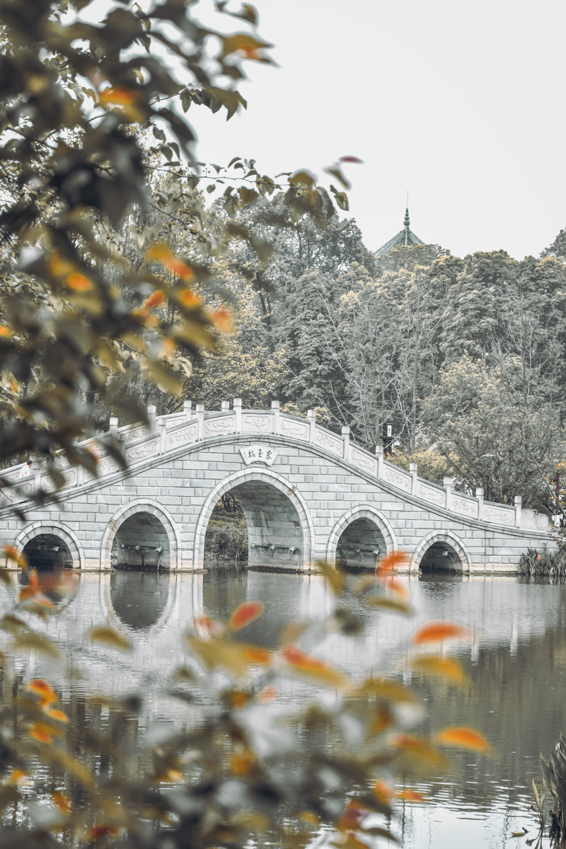 成都浣花溪公园