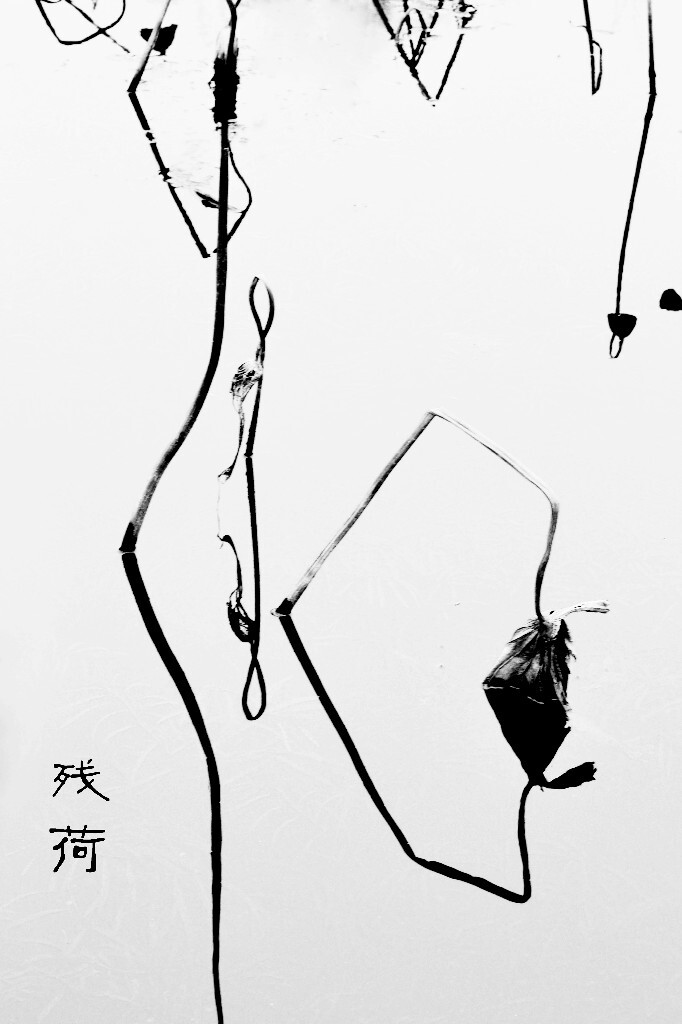 寒冬之尾的生命，春天临来的预告