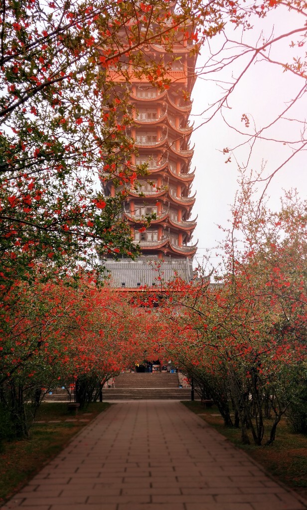 春去春来春常在，春雨春花河塘柳