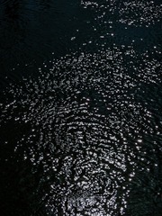1001193055