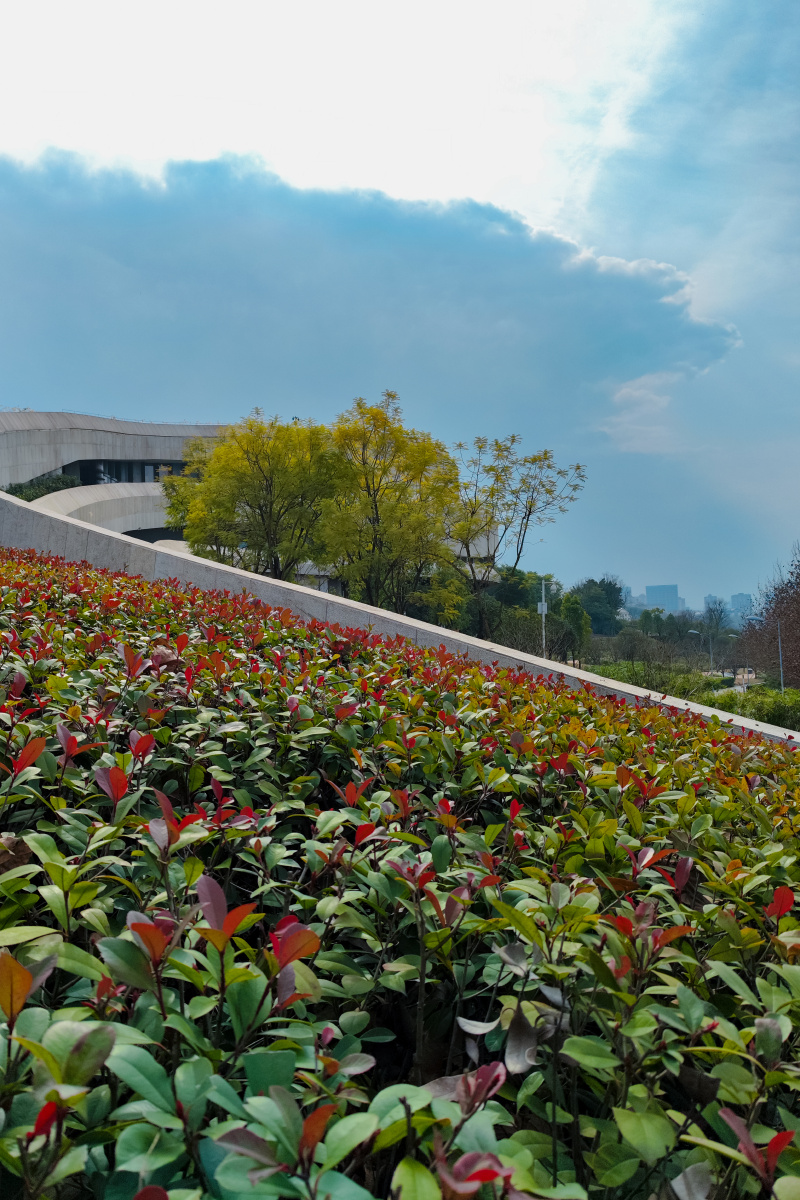 悦来会展城动步公园byxiaomi12pro