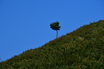688909