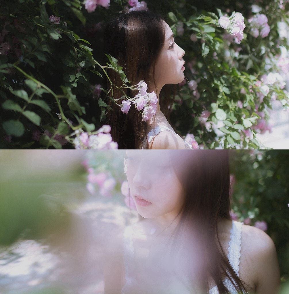 哭过了<br />
等过了 <br />
下一次花开 <br />
我也再不会从这里经过
