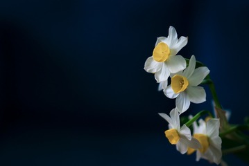 0041
