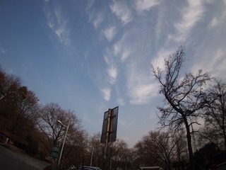 P1190273