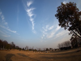 P1190278
