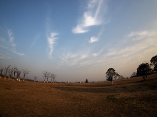 P1190284