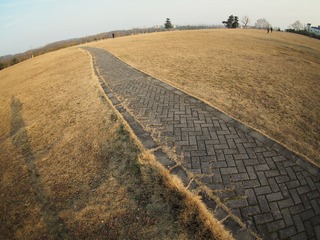 P1190289