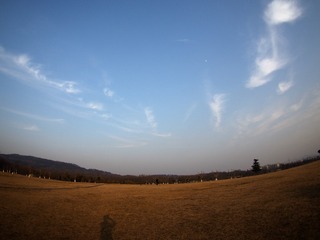 P1190291