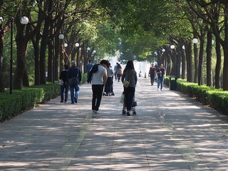 PB051427 (2)