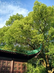 IMG_20160517_065605_HDR